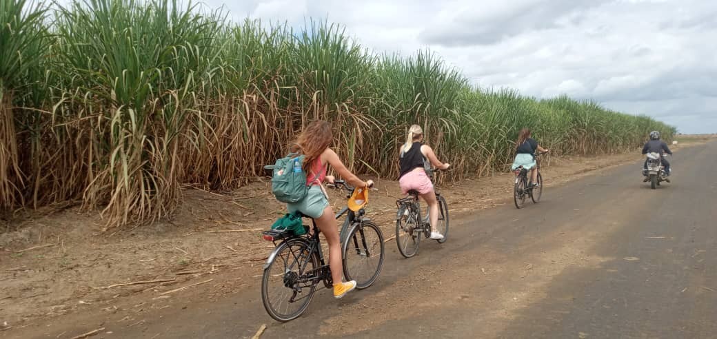 Sugarcane Plantations Cycling Tour