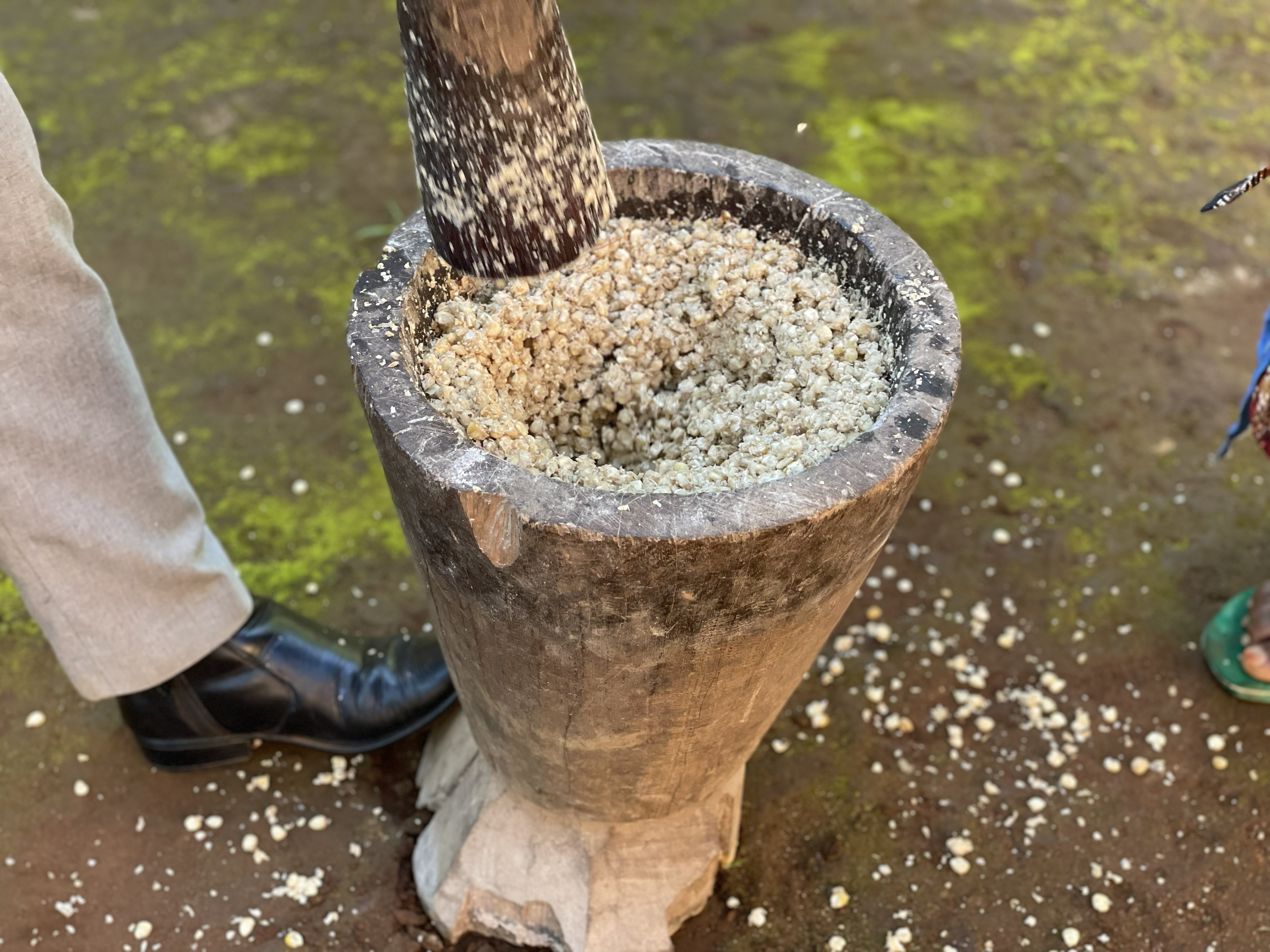 Local Food Cooking