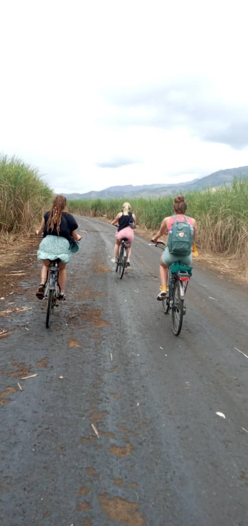 Cycling 6