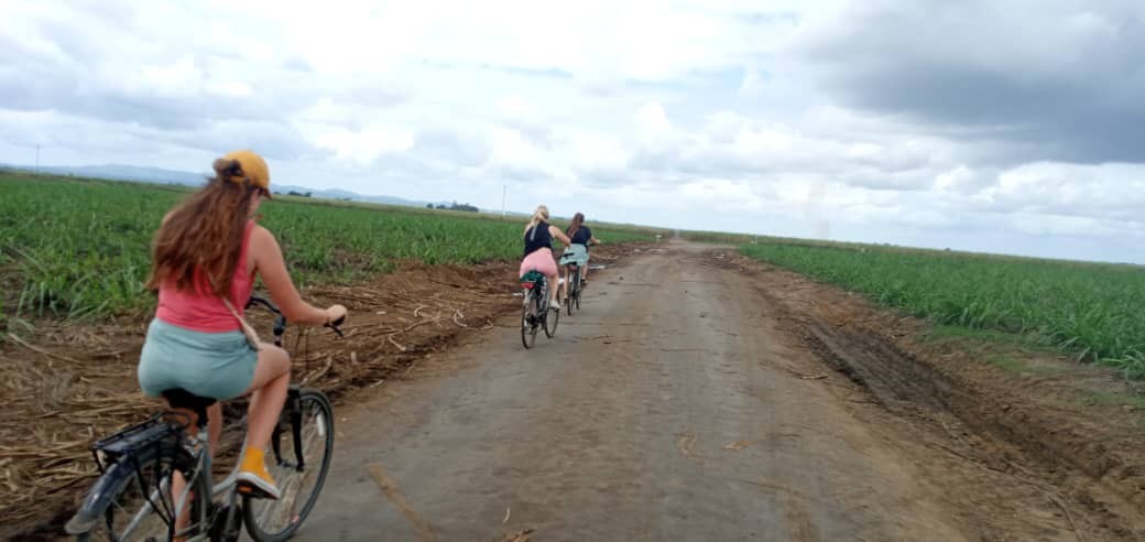 Cycling 7