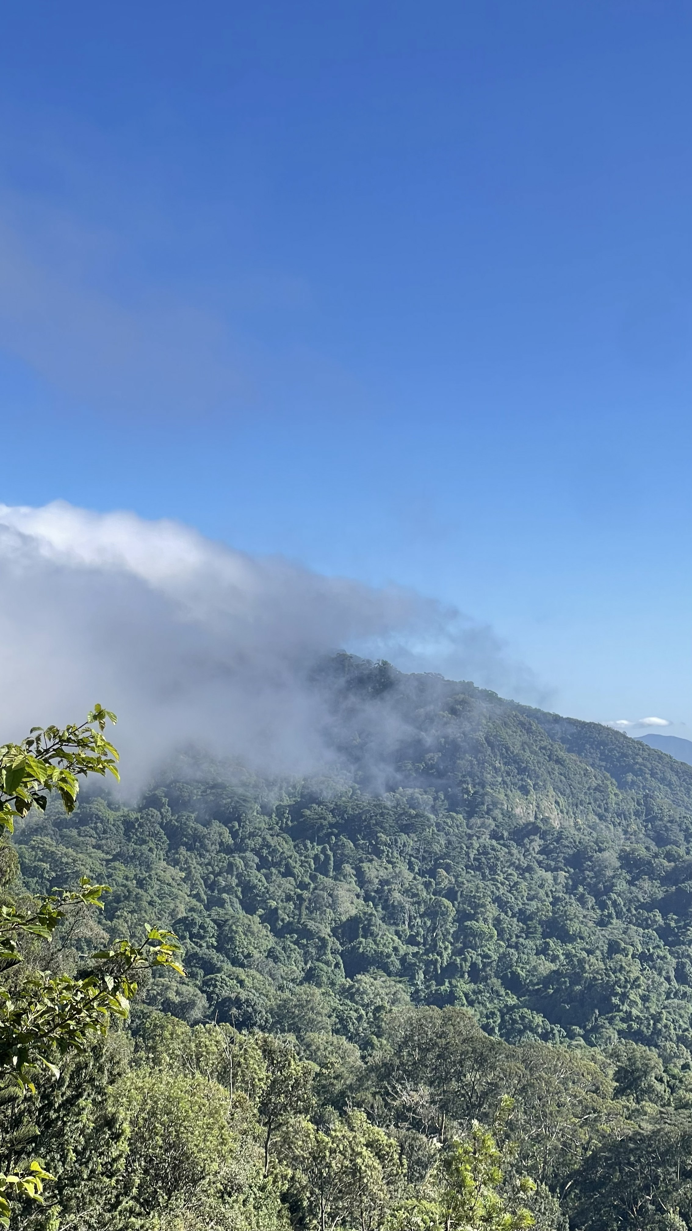 Iyungi Peak 7